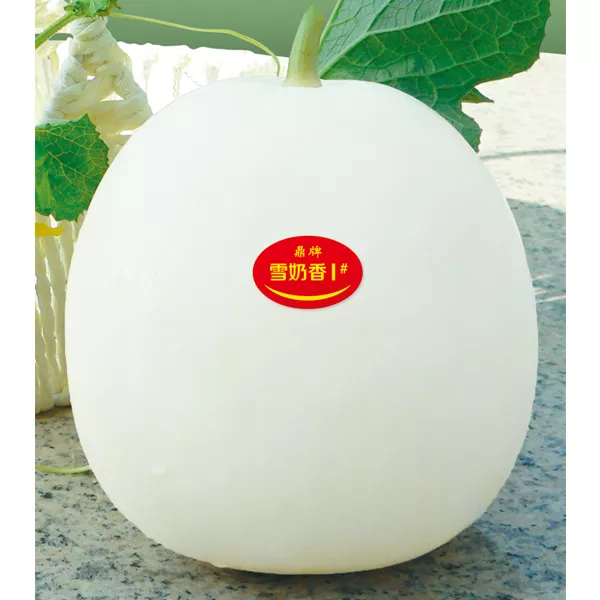 薄皮甜瓜，哪個(gè)品種最好呢？畝產(chǎn)高達(dá)10萬(wàn)，附4種市場(chǎng)爆款品種
