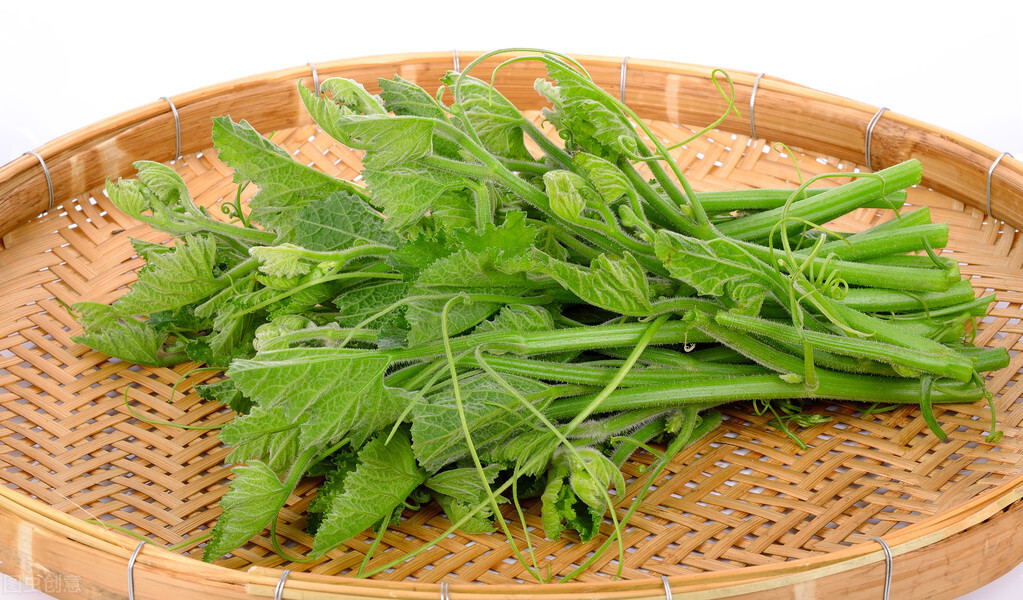 種這種綠葉菜，栽培輕松，畝產(chǎn)值過(guò)萬(wàn)元，菜農(nóng)表示很劃算