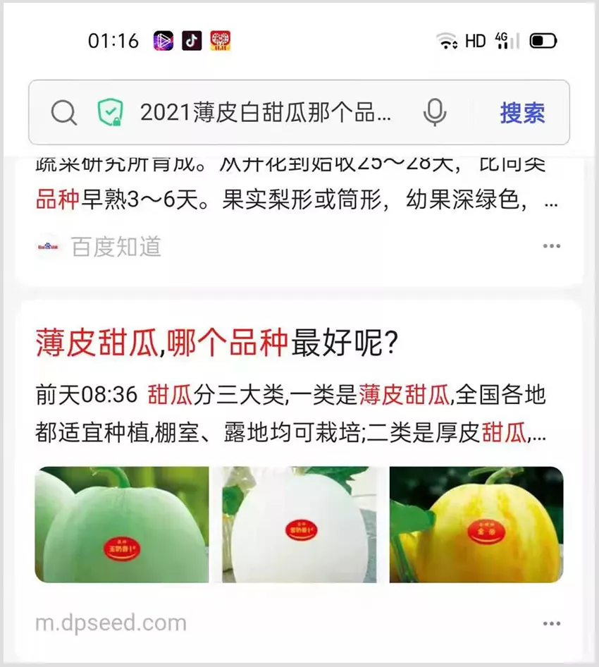河南焦作的李向林今年種植甜瓜新品種，客戶直接拉貨走人