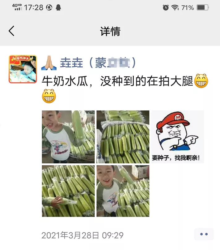 這個(gè)絲瓜每畝能掙3萬，沒種植的農(nóng)戶后悔得拍大腿