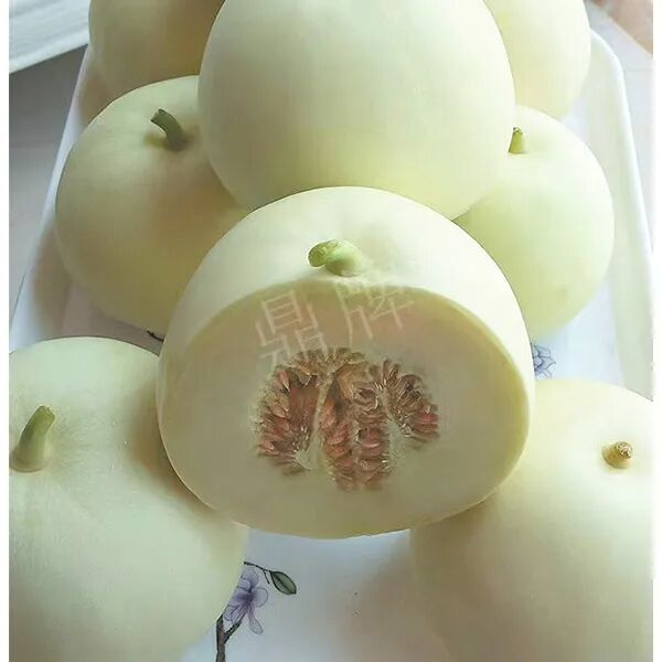 蔬菜種子種植戶客戶點(diǎn)評(píng)-這個(gè)品種幫我留一些，4月份我們當(dāng)?shù)剡€要種一批呢！