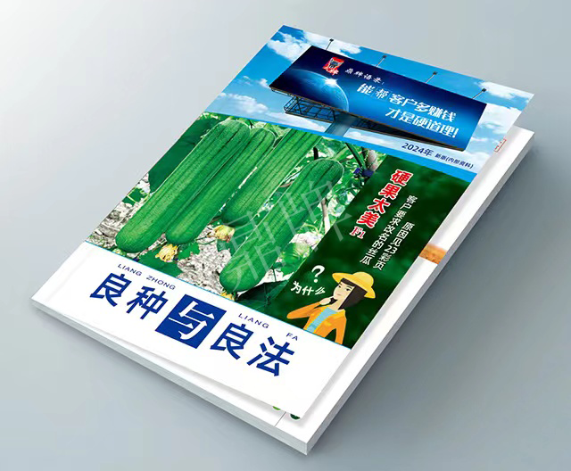 圖片